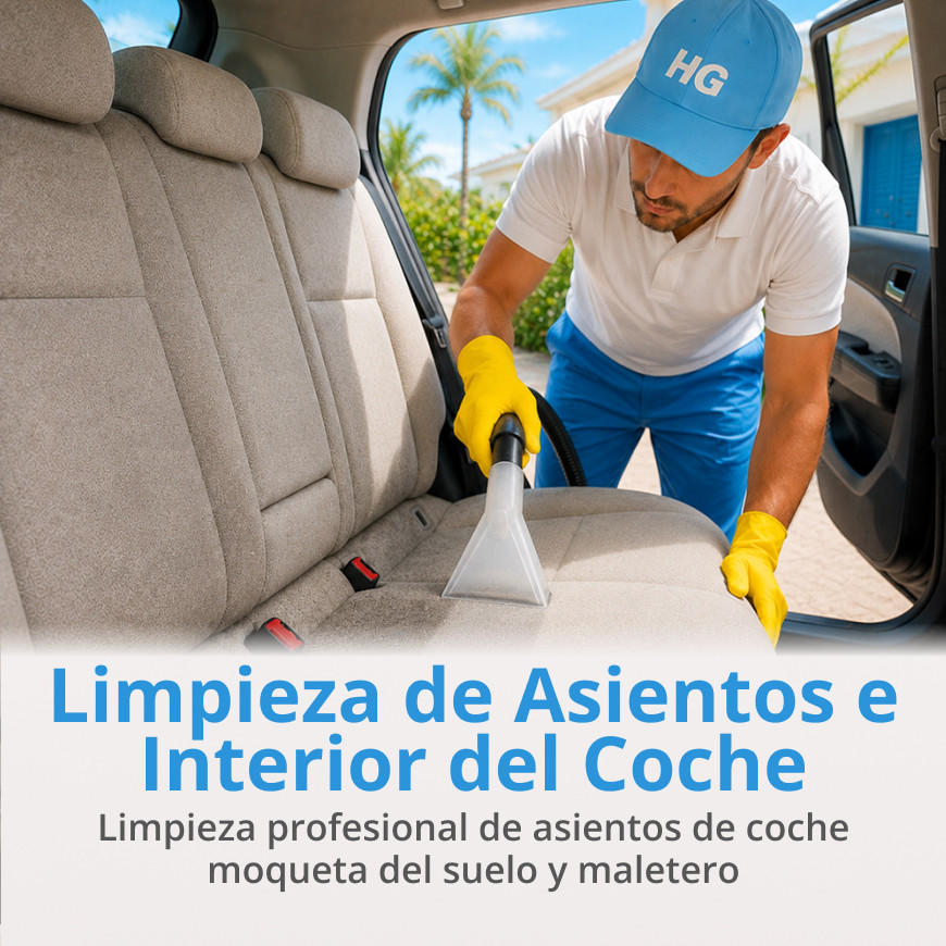 Limpieza profesional de asientos e interior del coche | Home Guardy